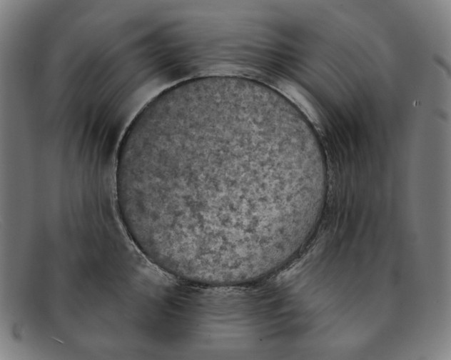 X0000091311000200708311353