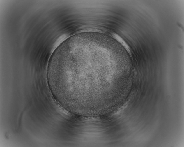 X0000091311002200708311353