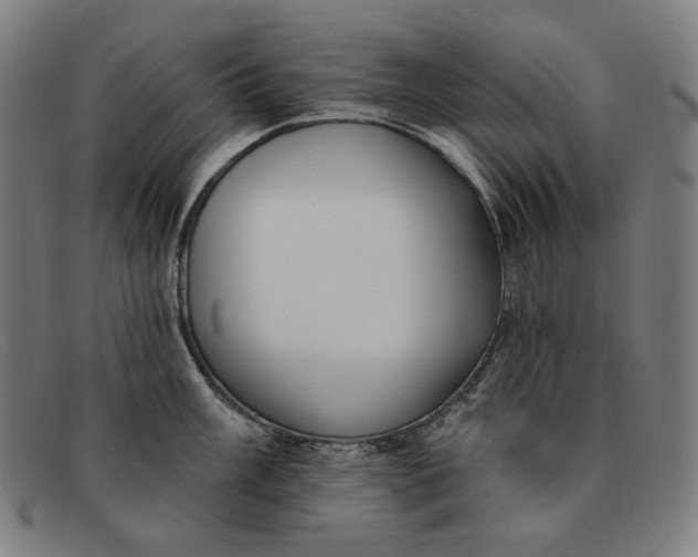 X0000091311003200708311353