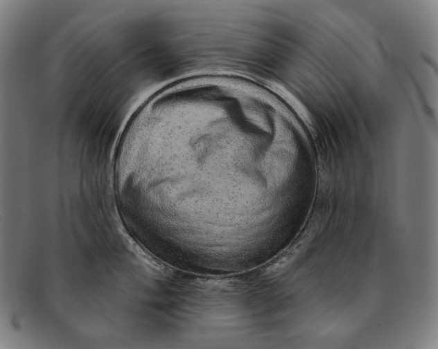 X0000091311004200708311353