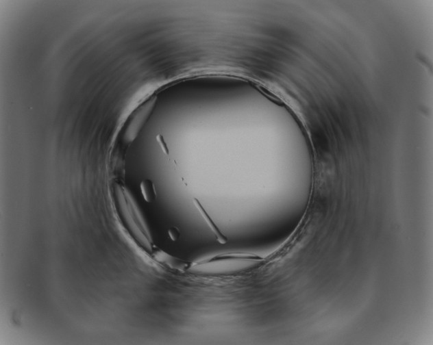 X0000091311005200708311353