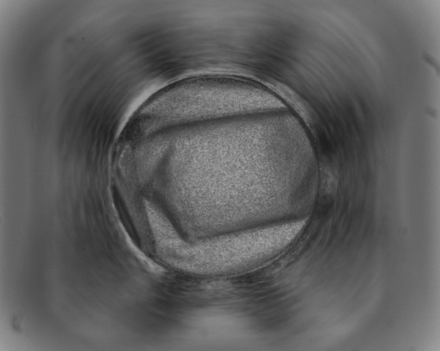 X0000091311006200708311353