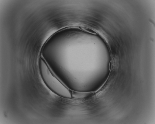 X0000091311007200708311353