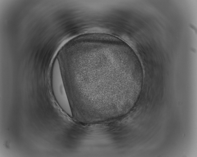 X0000091311008200708311353