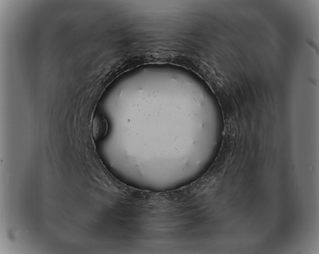 X0000091311009200708311352