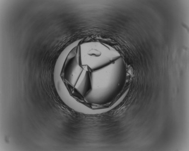 X0000091311010200708311352