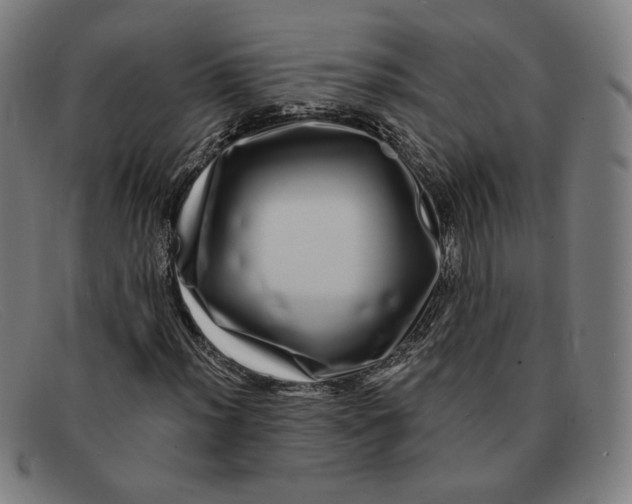 X0000091311012200708311352