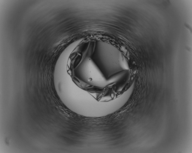 X0000091311014200708311352