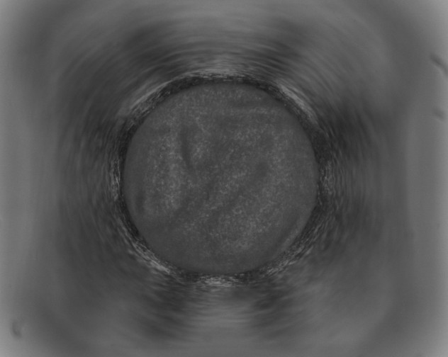 X0000091311015200708311352