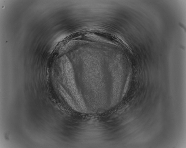 X0000091311016200708311352