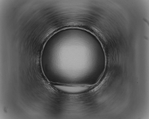 X0000091311017200708311352