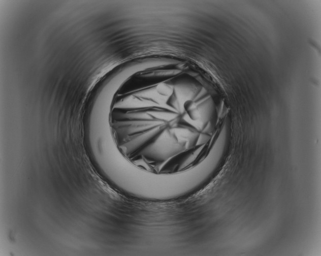 X0000091311018200708311352