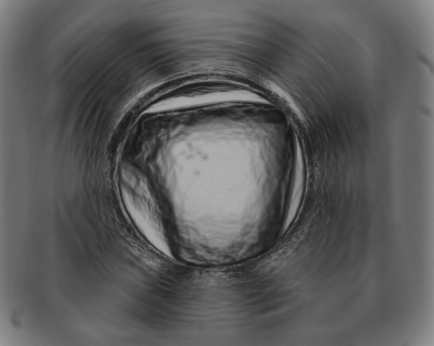 X0000091311019200708311352