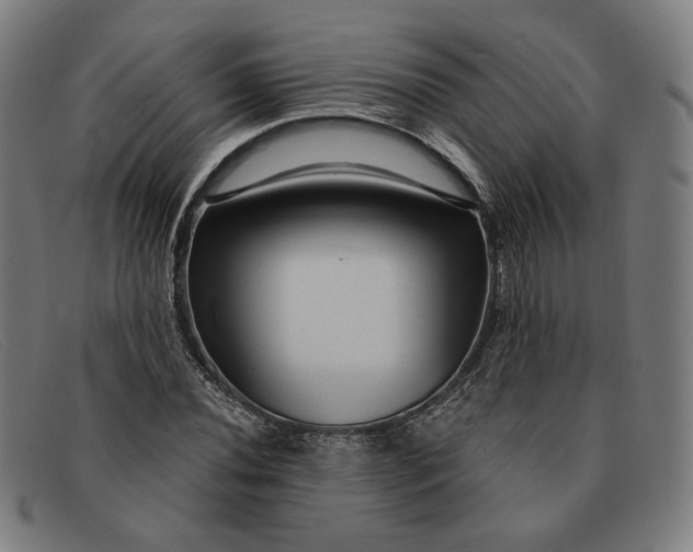 X0000091311020200708311352