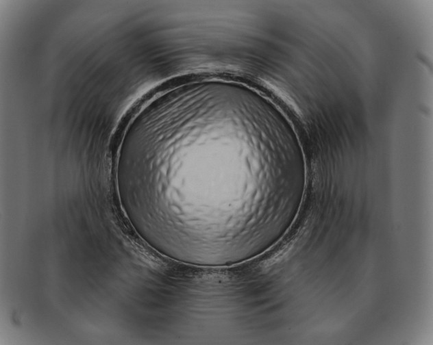 X0000091311021200708311352