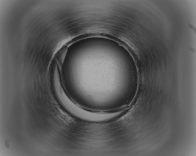 X0000091311022200708311352