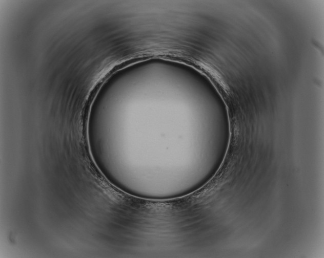 X0000091311023200708311352