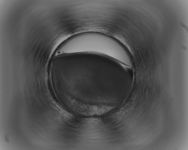 X0000091311024200708311352