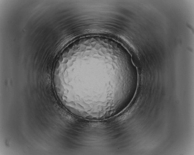 X0000091311025200708311352