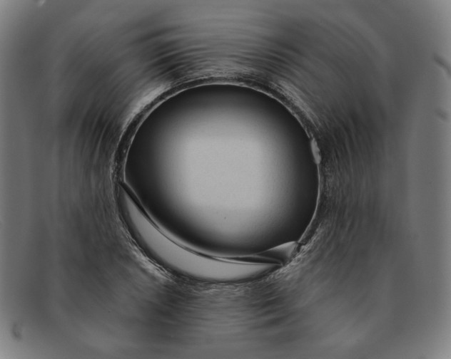 X0000091311026200708311352