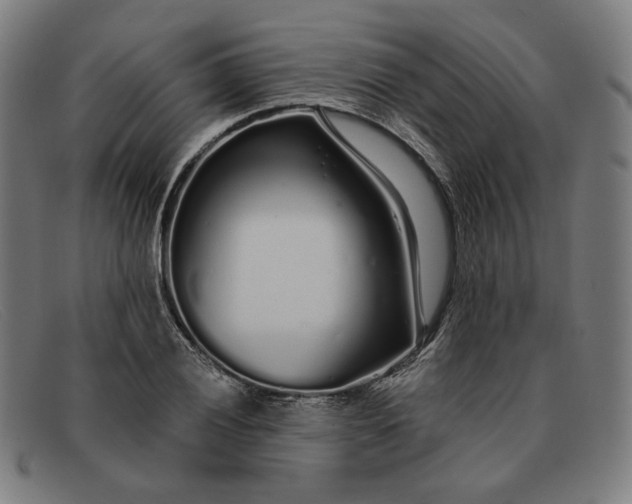 X0000091311028200708311352