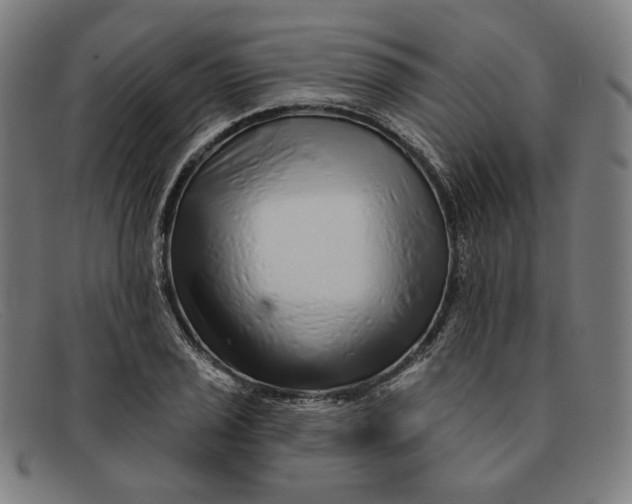 X0000091311029200708311352