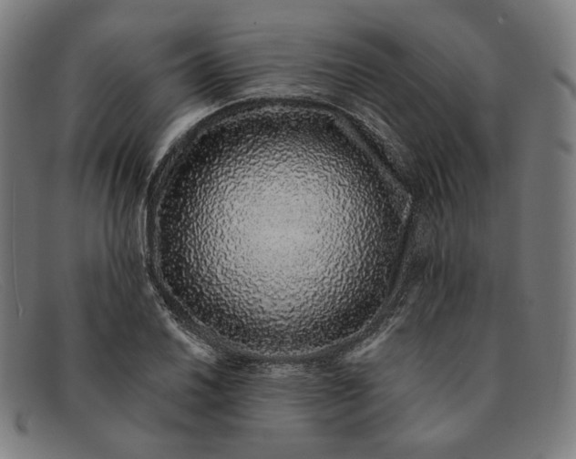 X0000091311030200708311352