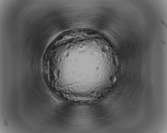 X0000091311031200708311352