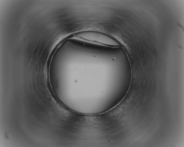 X0000091311032200708311352