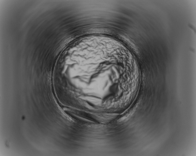 X0000091311033200708311352