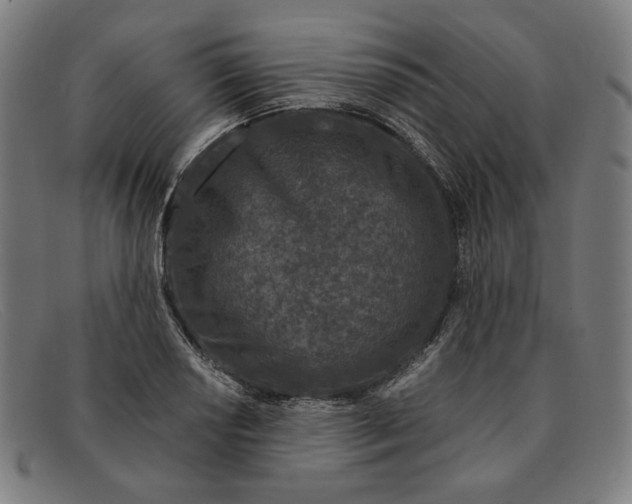 X0000091311034200708311352