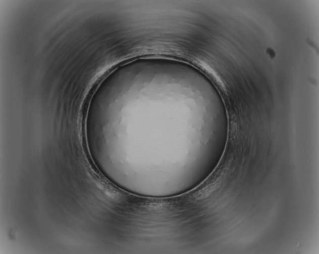 X0000091311035200708311352