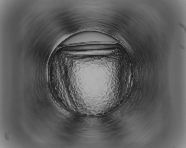 X0000091311036200708311352