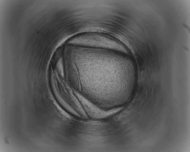 X0000091311037200708311352