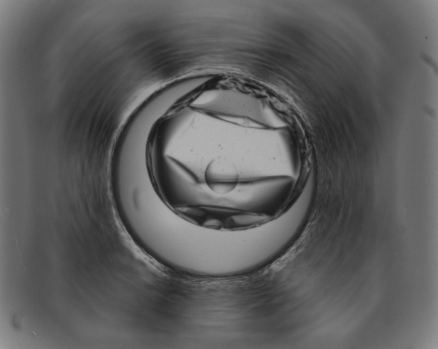 X0000091311038200708311352