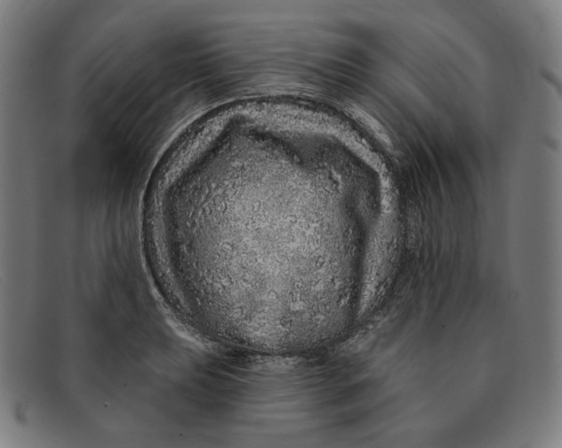 X0000091311039200708311352