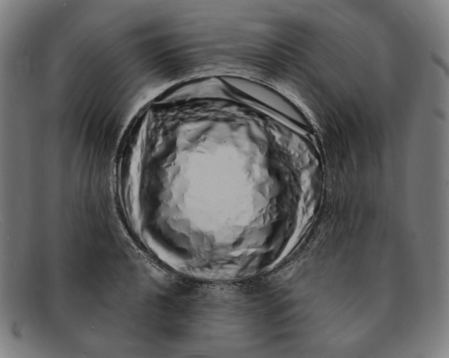 X0000091311040200708311352