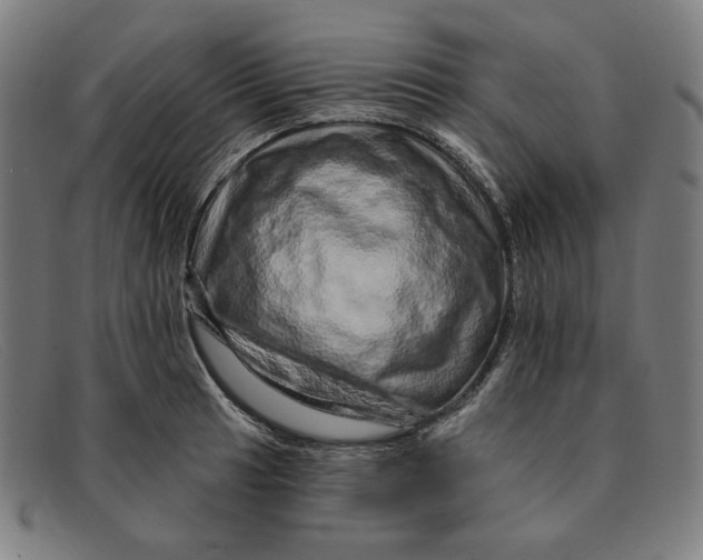 X0000091311041200708311352