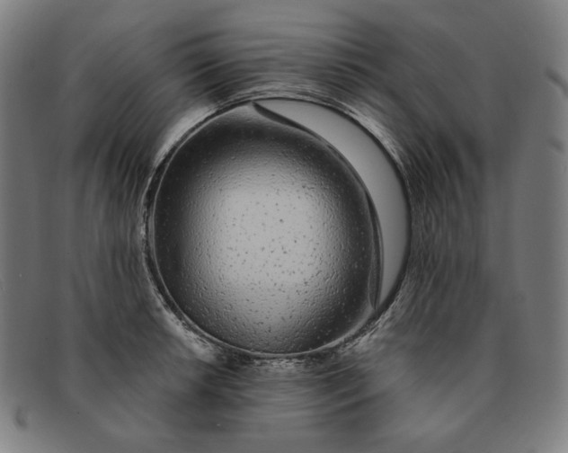 X0000091311042200708311352