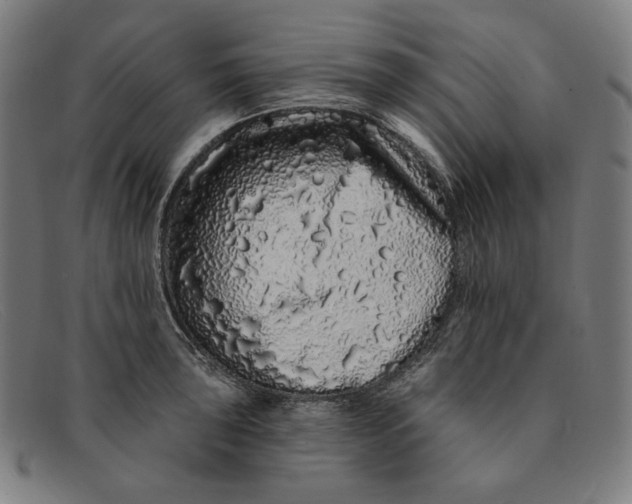 X0000091311043200708311352