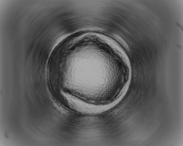 X0000091311044200708311352