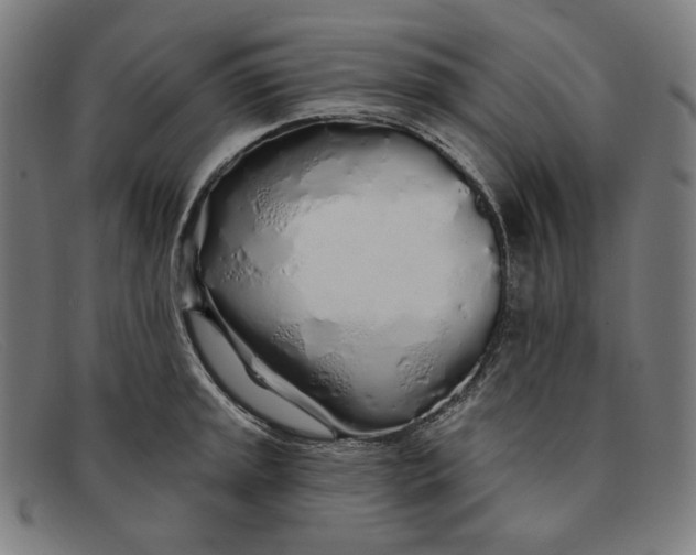 X0000091311045200708311352