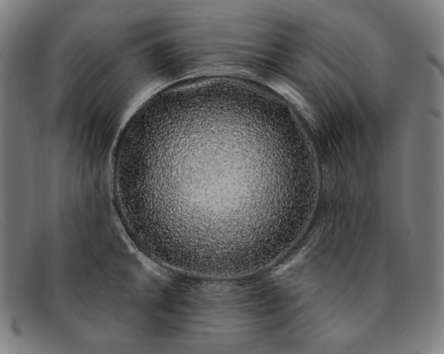 X0000091311046200708311352