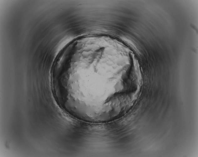 X0000091311047200708311352