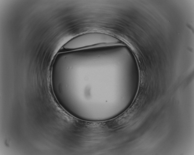 X0000091311048200708311352