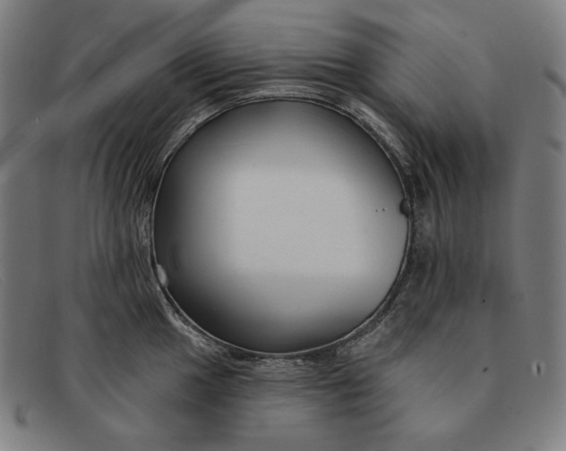 X0000091311049200708311352