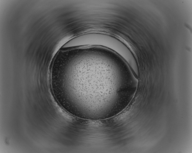 X0000091311050200708311352