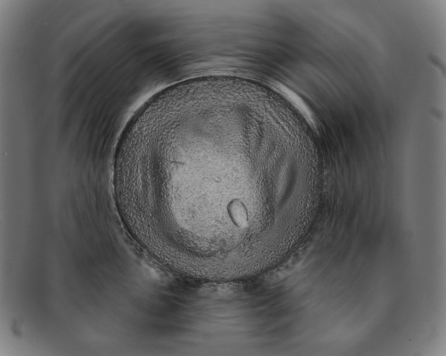 X0000091311051200708311352