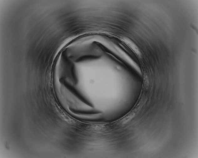 X0000091311052200708311352