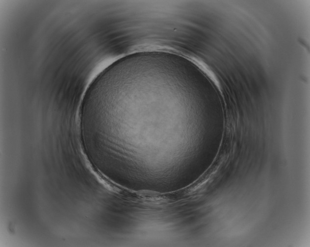 X0000091311053200708311352